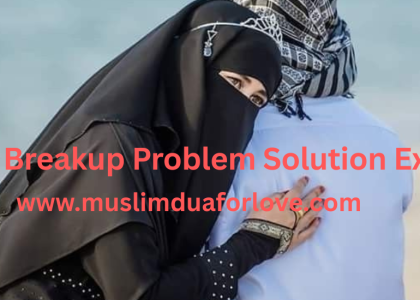 Best Breakup Problem Solution Expert