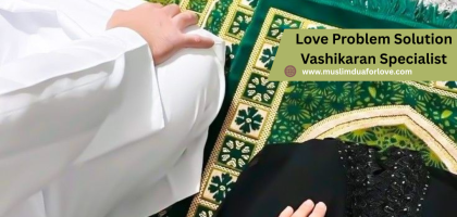 Love Problem Solution Vashikaran Specialist