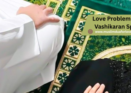 Love Problem Solution Vashikaran Specialist